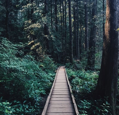 Ahmad kadhim Ge H V E Drq M B8 unsplash